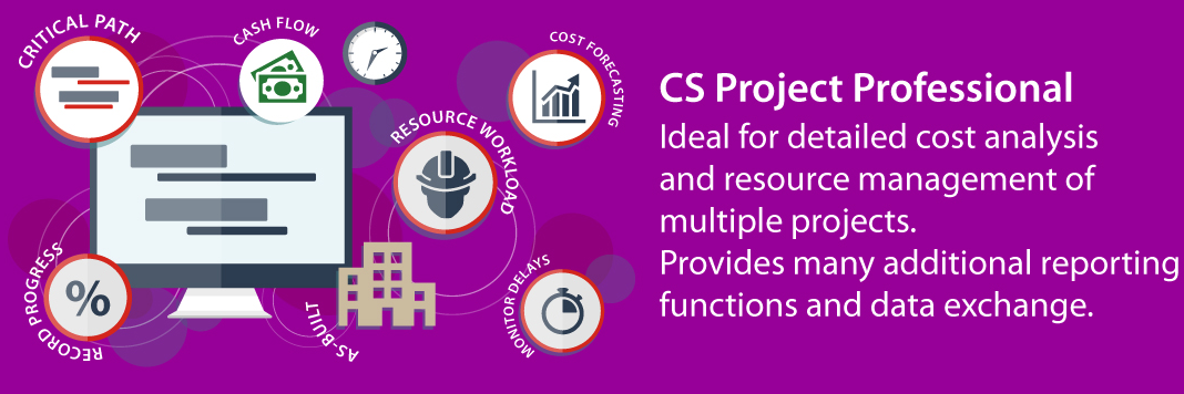 CS Project Professional Ideal for detailed cost analysis and resource management